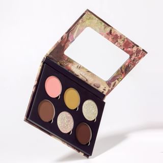 Paleta de sombra de ojos de la serie Insecto de CHOIZ BEAUTY de 6 colores - Mariposa Rosa