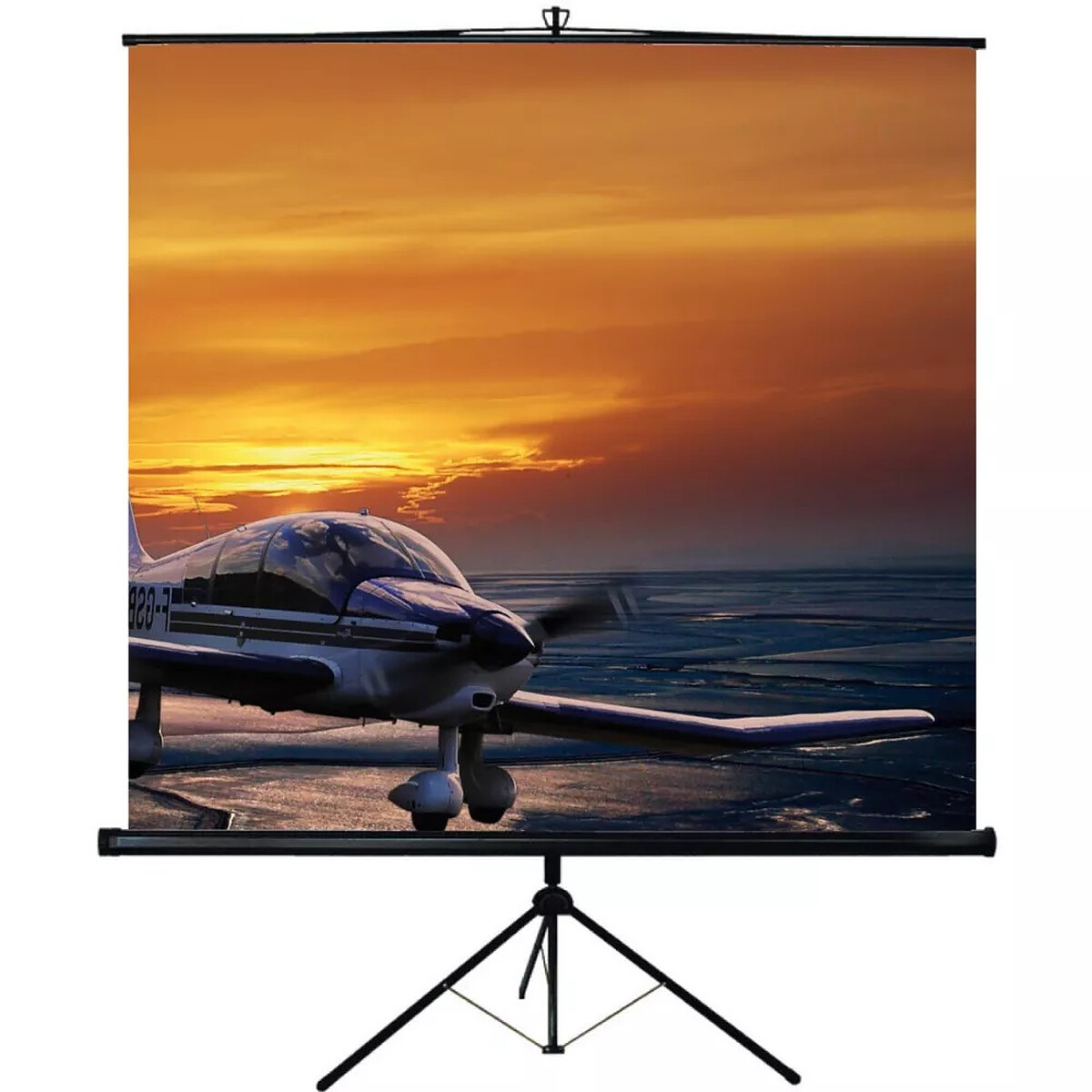 Oray Screen 175 x 175 cm
