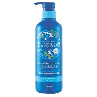 Champú hidratante de algas marinas Kracie - 490 ml