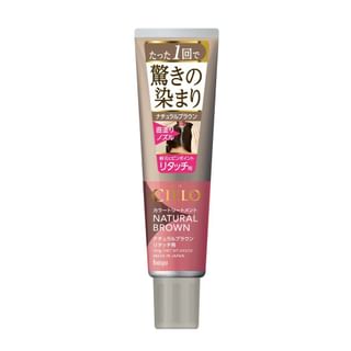 Hoyu Cielo Hair Color Treatment Retouch, Natural Brown, 140g