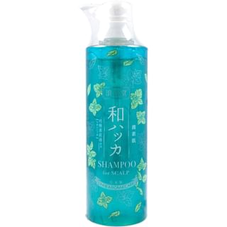 Champú para el cuero cabelludo con menta japonesa Cosmetex Roland 485 ml