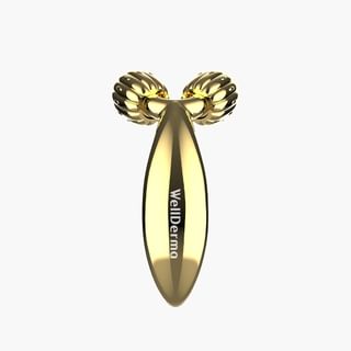 Rodillo para levantar la cara compacto WellDerma (Oro)