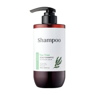 Champú refrescante para cuero cabelludo con árbol de té Mixsoon