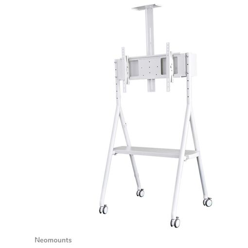 Support au sol Neomounts NS-M1500WHITE pour écrans 32-65 pouces