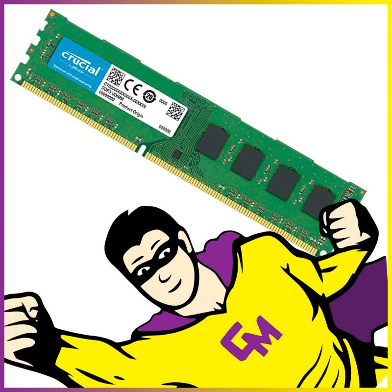 Crucial 256GB DDR3L RAM (CT25664BA1339.C8F1D)