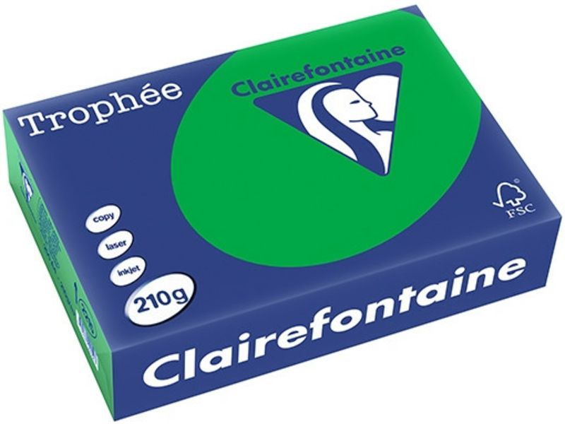 Papier Clairefontaine Vert Billard A4, 210 g/m² (250 feuilles)