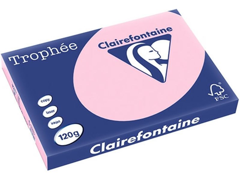 Papier Clairefontaine Couleur A3 120 g/m² (250 feuilles)