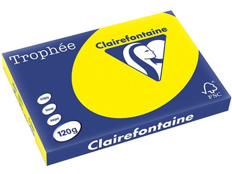 Papier Clairefontaine Jaune Soleil A3 Coloré 120 g/m² (250 feuilles)