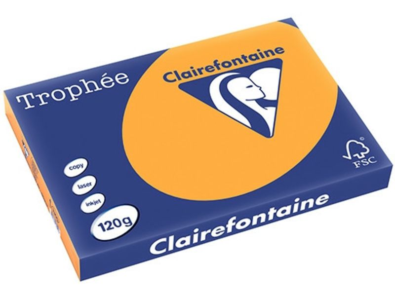 Papier Clairefontaine Couleur A3, 120 g/m², 250 feuilles