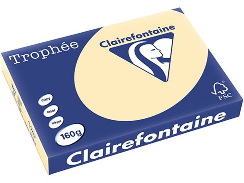 Papier Clairefontaine Chamois coloré A3, 160 g/m², 250 feuilles