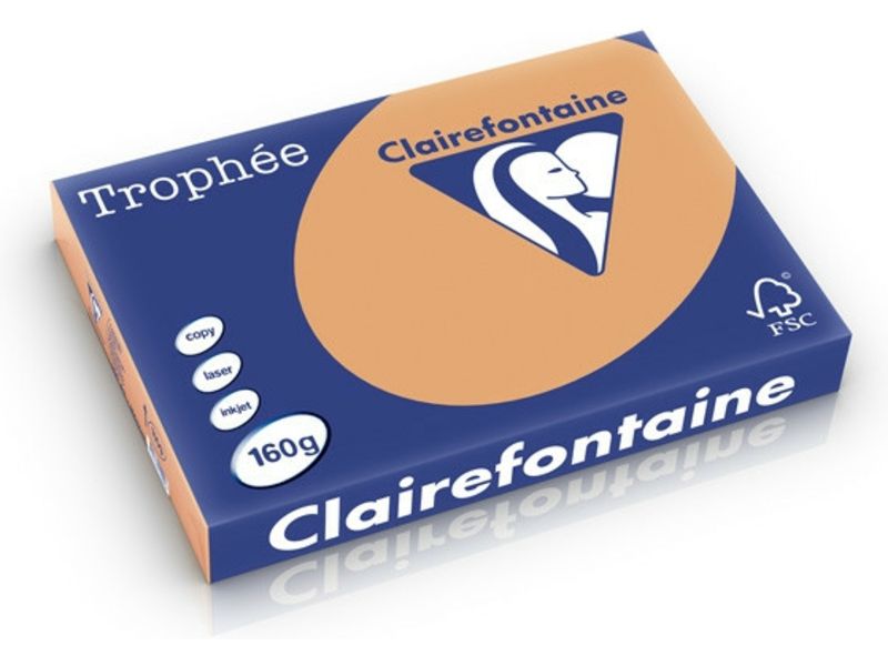 Papier Clairefontaine Couleur A3, 160 g/m², 250 feuilles