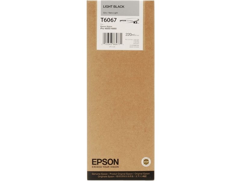 Cartucho de tinta Epson Negro Claro C13T606740