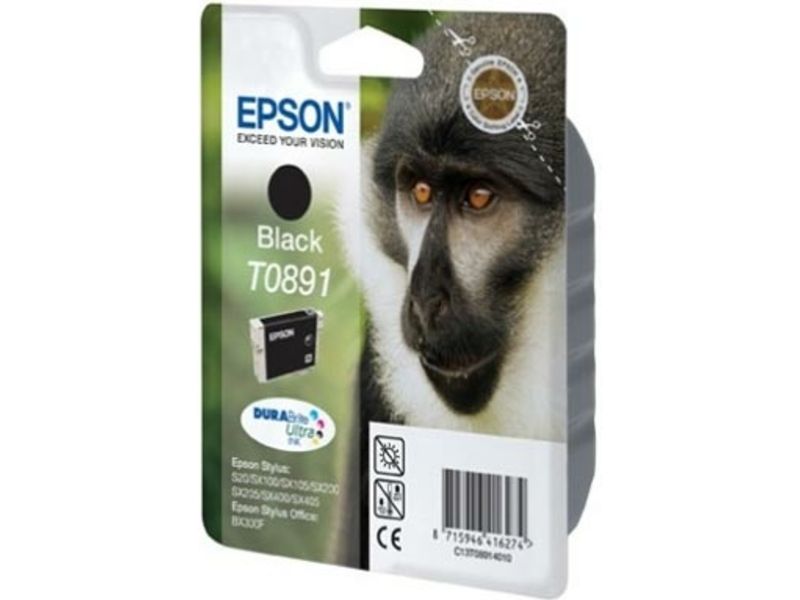 Epson T089 Black Ink Cartridge (C13T08914010)