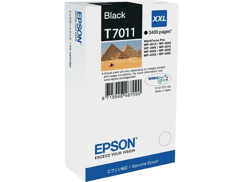 Epson T7011 Black Ink Cartridge (C13T70114010)