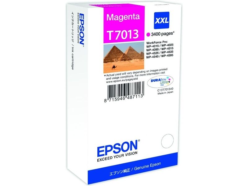 Epson T7013 Magenta Ink Cartridge (C13T70134010)