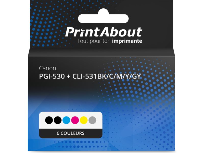 Cartouche d'encre compatible Canon PGI-530 + CLI-531BK/C/M/Y/GY - 6 couleurs - Multipack