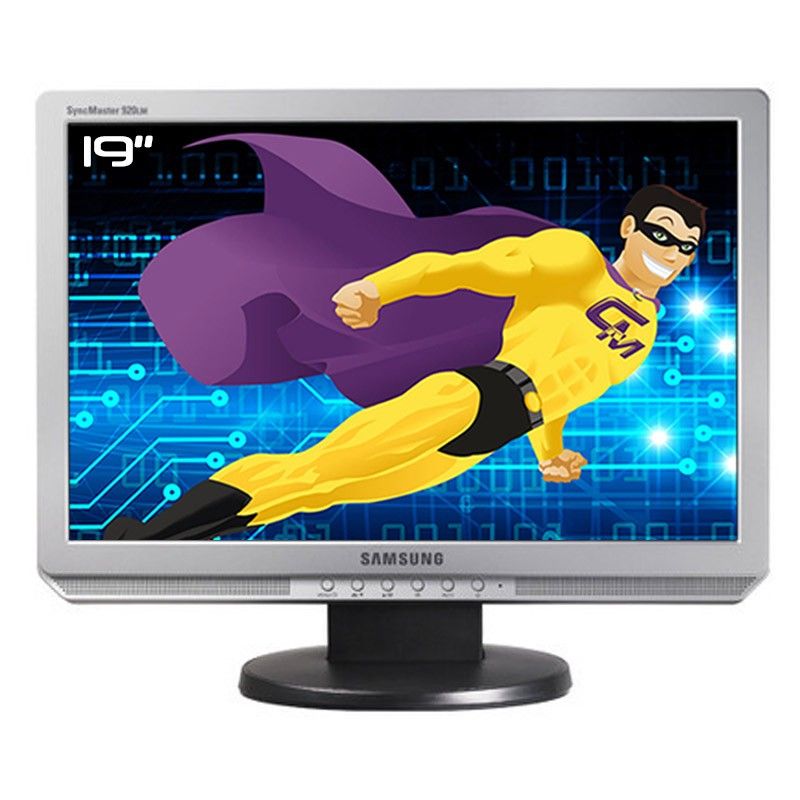 Samsung SyncMaster 19-Inch LCD Monitor (LS19WJNKS/EDC)